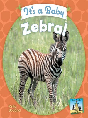 cover image of It's a Baby Zebra!